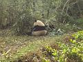 DSC04505