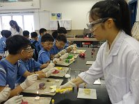 DSC05199